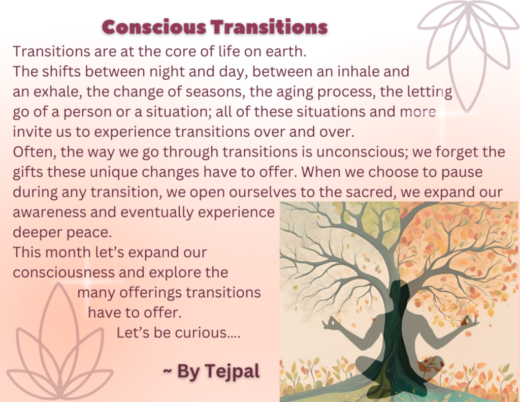 Conscious Transitions-November theme